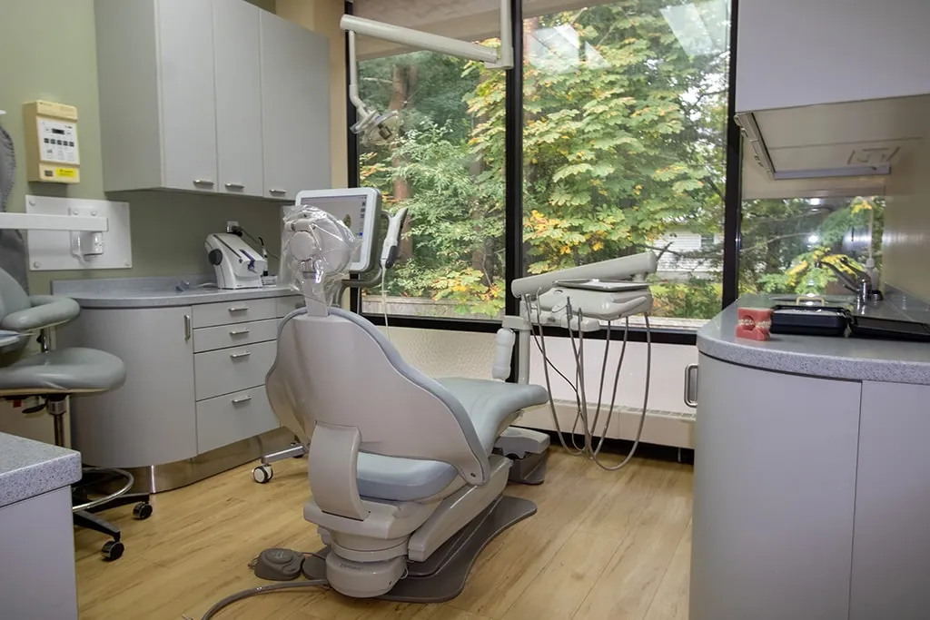 Dental chair facing a monitor with a forested view outside the window.